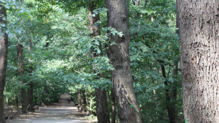 Снимка: Facebook