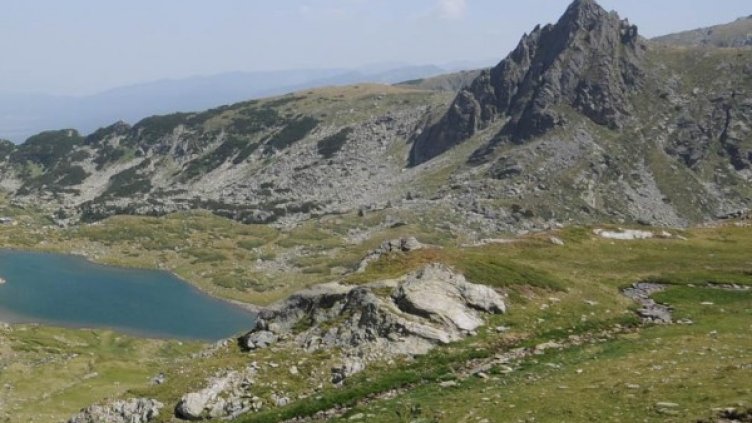 Снимка: Архив, Булфото