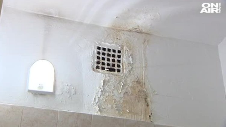 Заветното студентско общежитие: Мизерия, опашки и хлебарки 