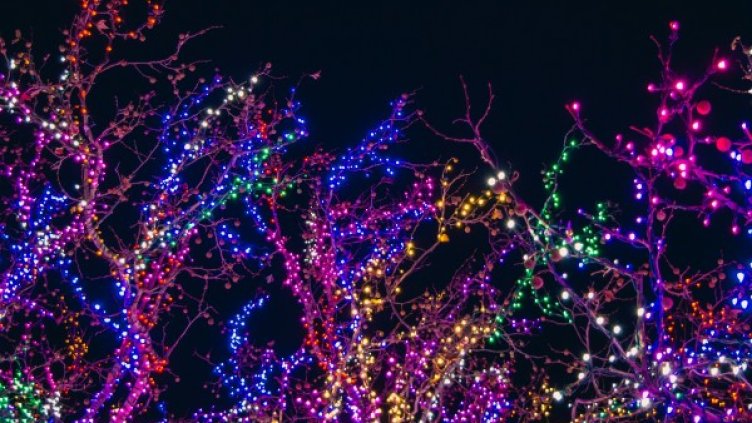 Снимка: Pexels