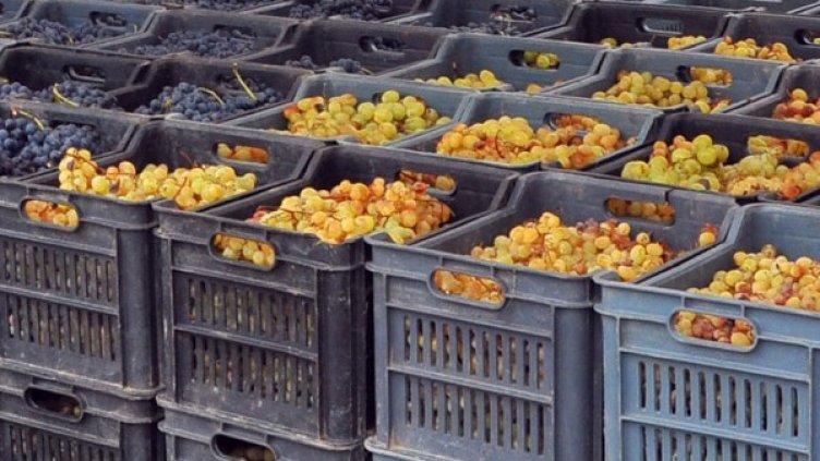 Снимка: архив, БТА