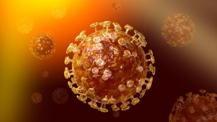 Вирусът на MERS. Снимка: Wikipedia