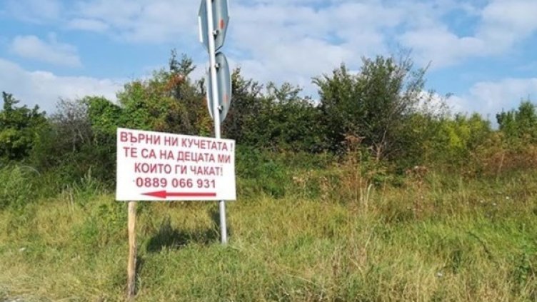 Снимка: Станислав Стойнев