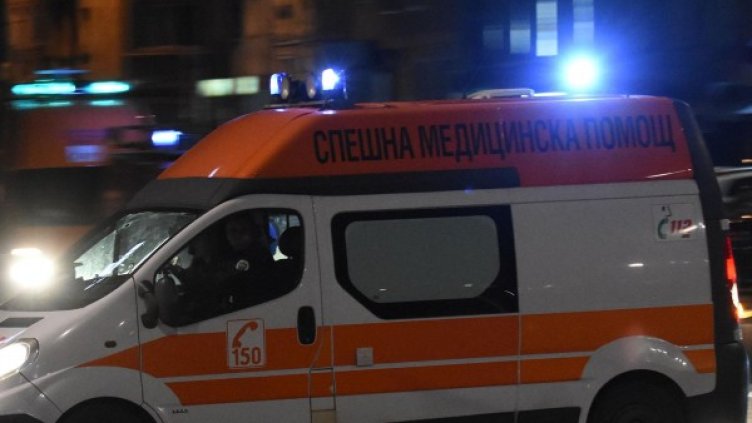 Снимка: архив Булфото