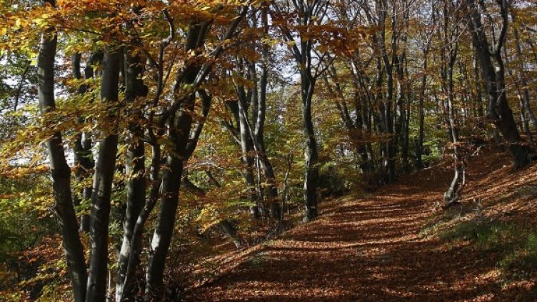 Снимка: архив, БТА