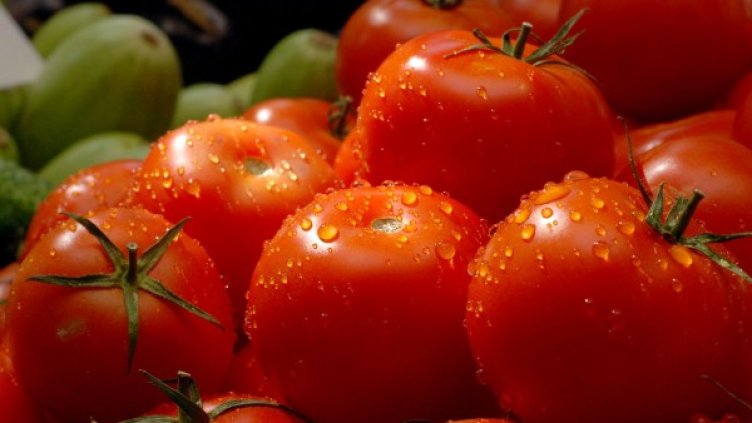 Снимка: архив, БулФото