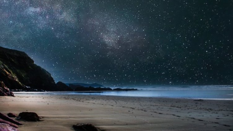 Снимка: pexels.com