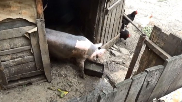 Кадър: Bulgaria ON AIR