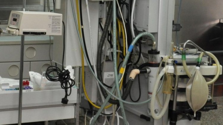 Снимка: архив, БулФото