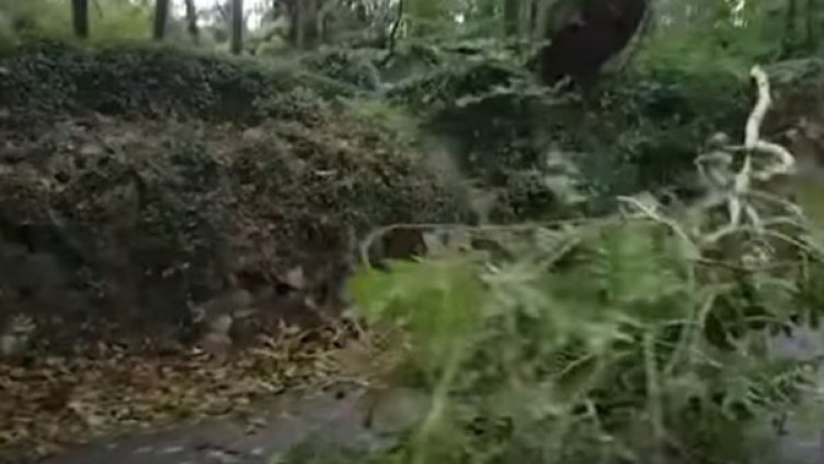 Снимка: Кадър YouTube