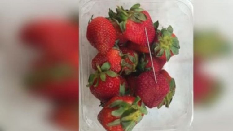 Снимка: Bulgaria ON AIR