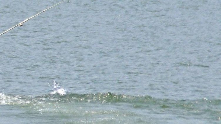 Снимка: архив, БулФото