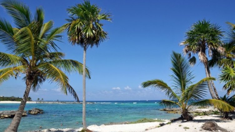 Снимка: flickr