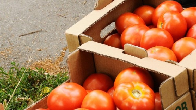 Снимка: архив Булфото