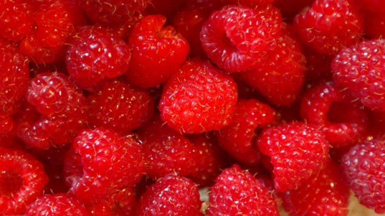 Снимка: pexels