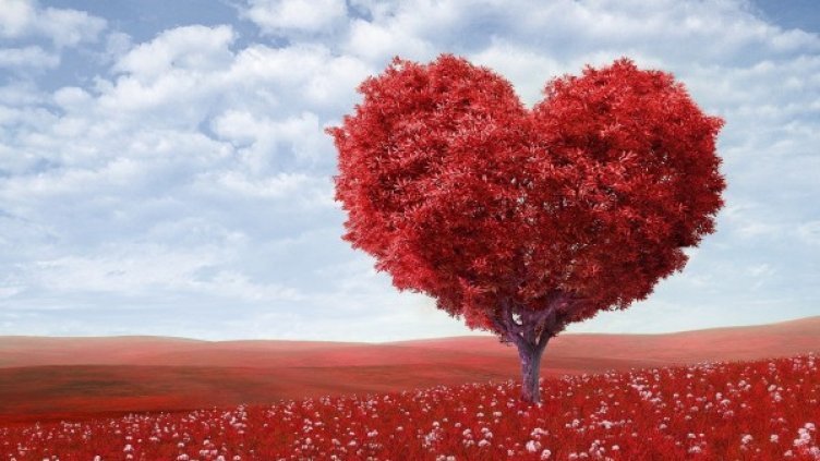 Снимка: Pexels