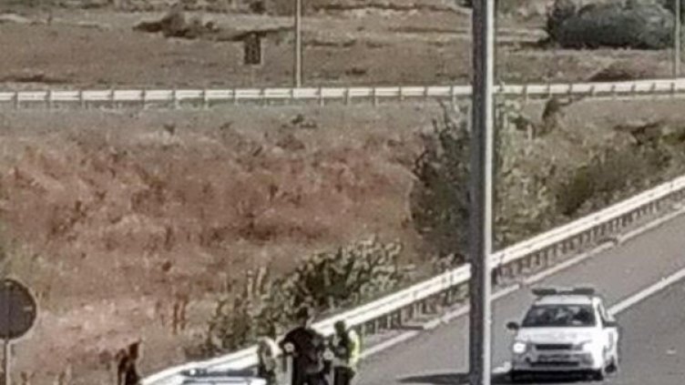 Снимка: Булфото