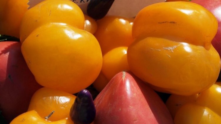 Снимка: Булфото