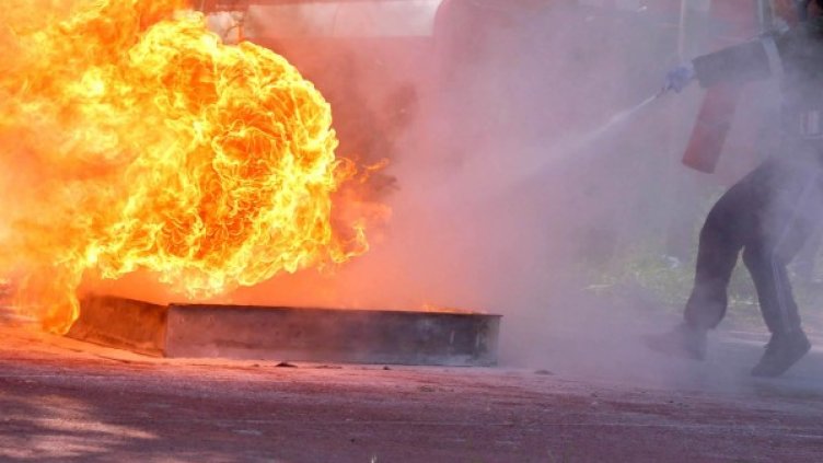 Архив: Булфото