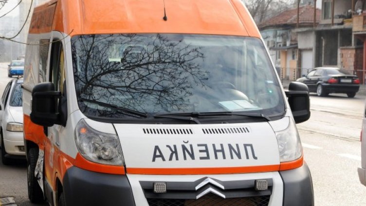 Снимка: Булфото