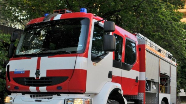 Снимка: архив, Булфото