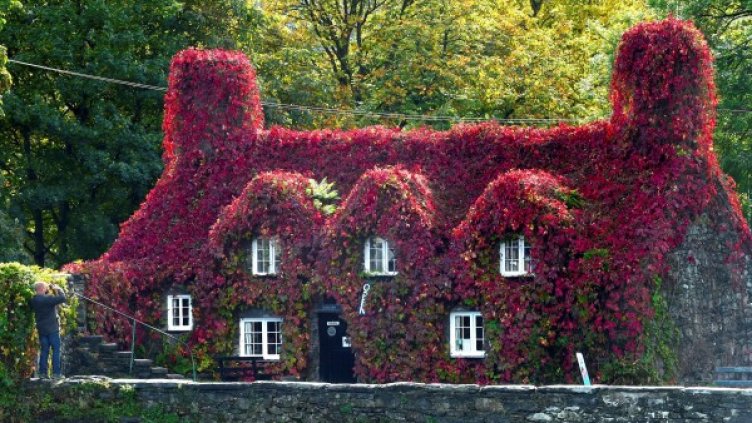 Снимка: Reuters, архив