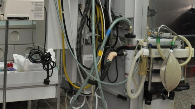 Снимка: архив, БулФото