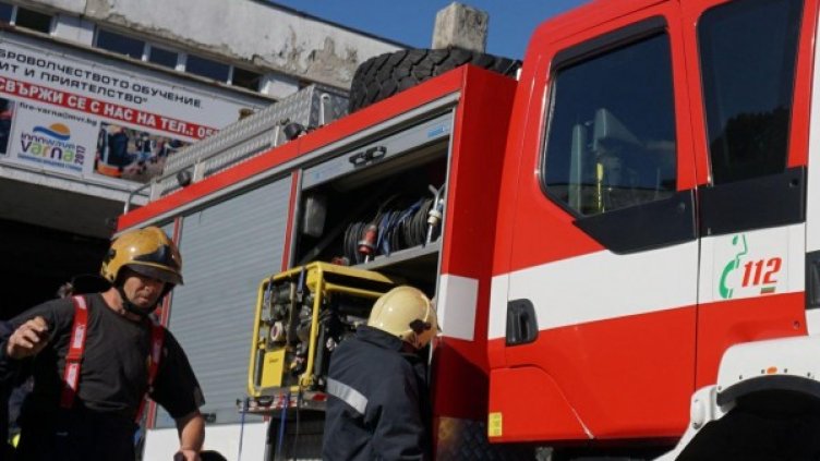 Снимка: Булфото, архив