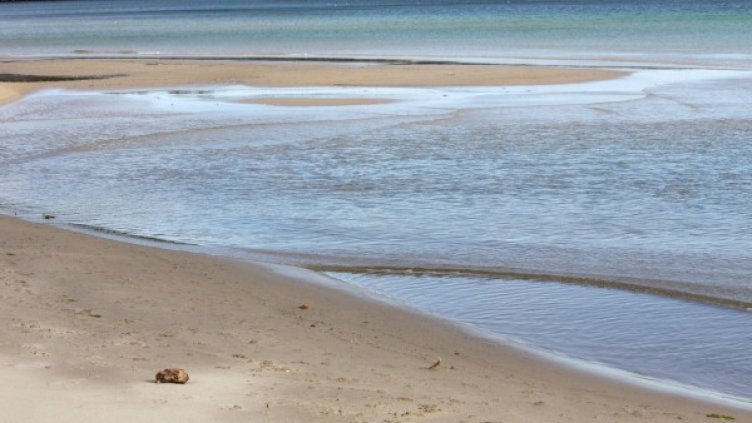 Архив: Булфото