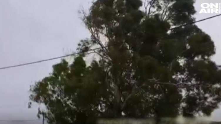 Снимка: Bulgaria ON AI