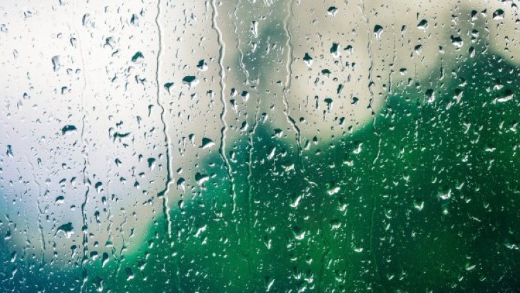 Снимка: pixabay.com