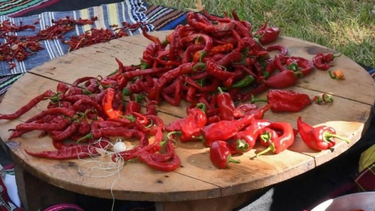 Снимка: Булфото