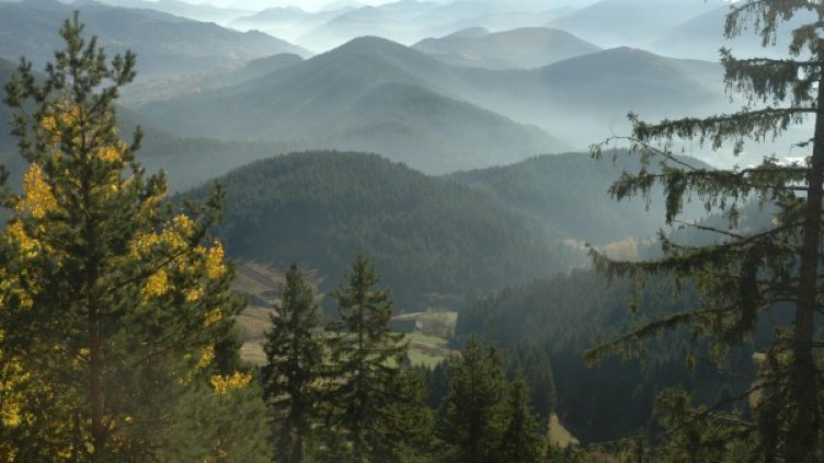 Снимка: Булфото, архив