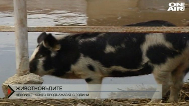 Снимка: bgonair.bg