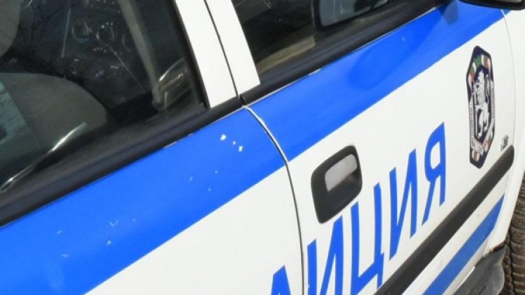 Снимка: Архив, Булфото