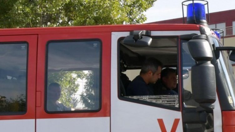 Снимка: Архив, Булфото