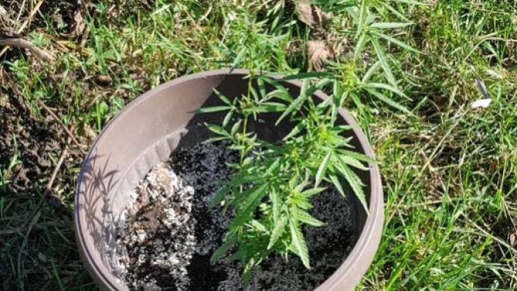 Снимка: МВР