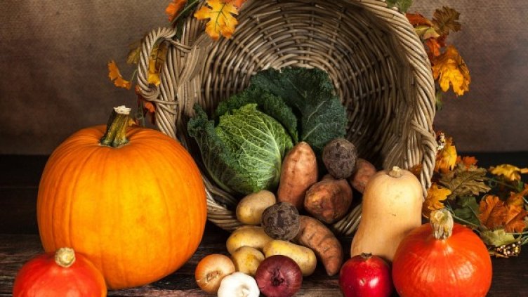 Снимка: Pixabay