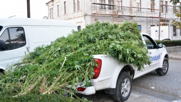 Снимка: Булфото