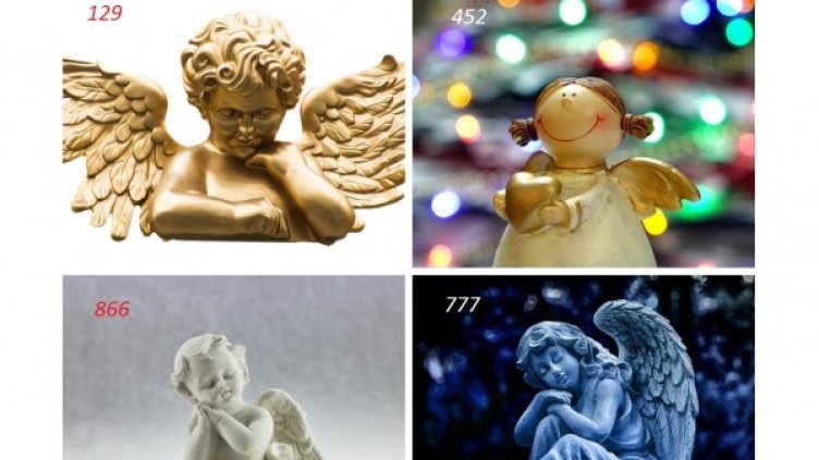 Снимки: pixabay