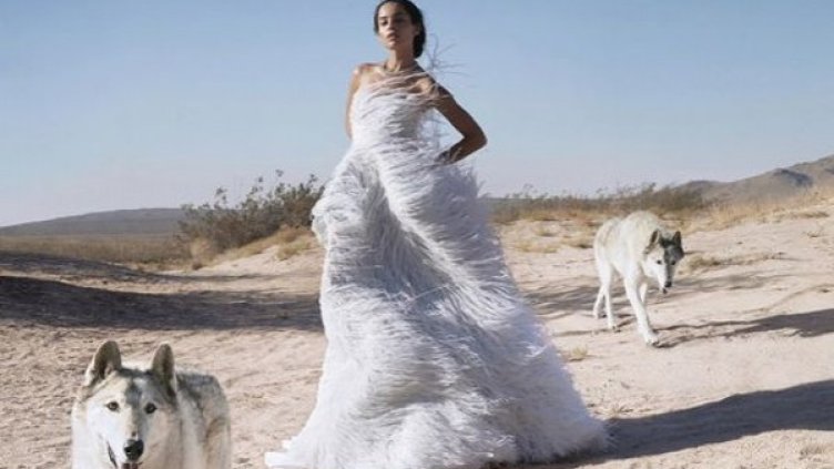 Снимка:  Harper's Bazaar