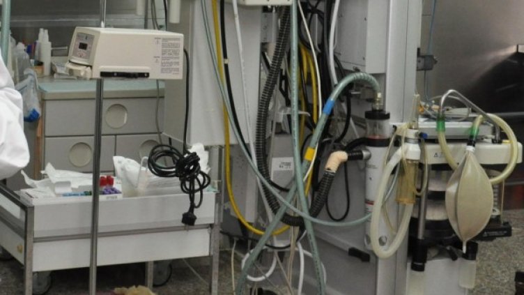 Снимка: архив, БулФото