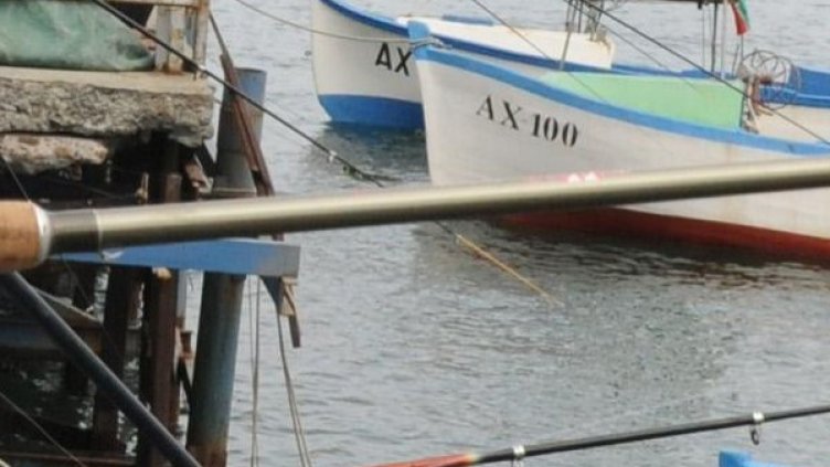 Снимка: Булфото, архив