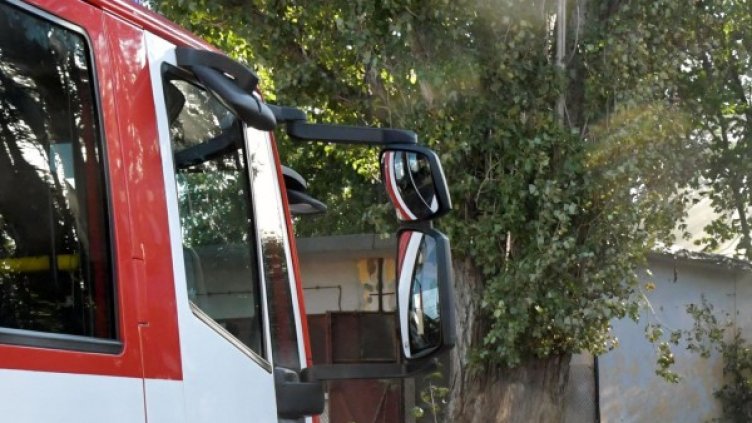 Снимка: Булфото, архив