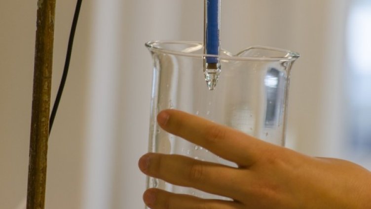 Снимка: Pixabay