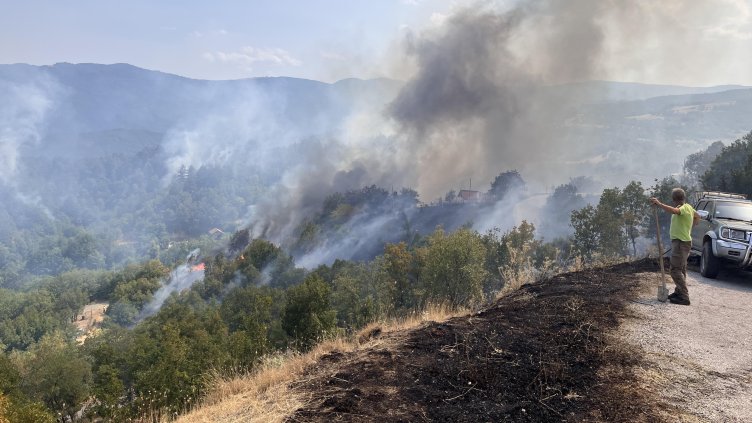 Снимка: архив, БГНЕС