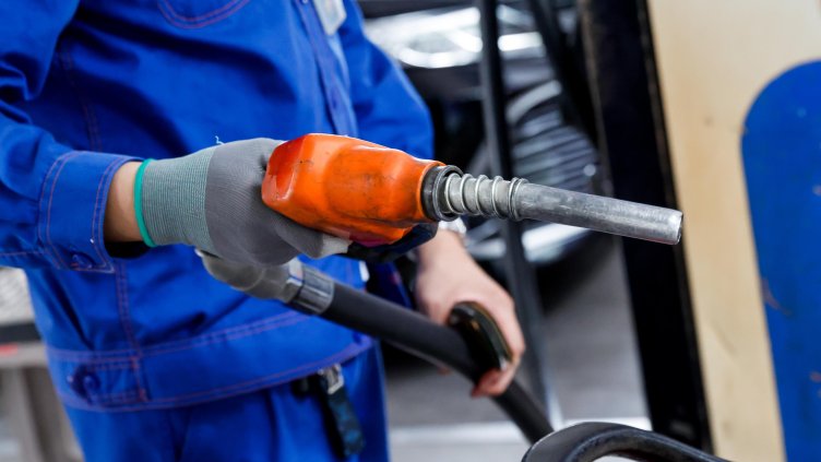 Снимка: архив, БГНЕС