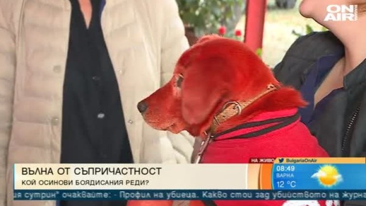 Снимка: Bulgaria On Air