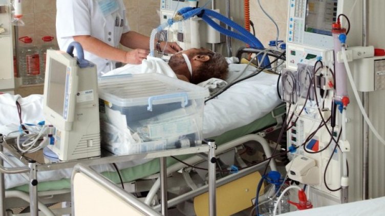 Архив: Булфото