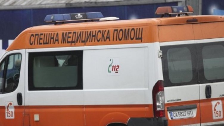 Снимка: Архив, Булфото